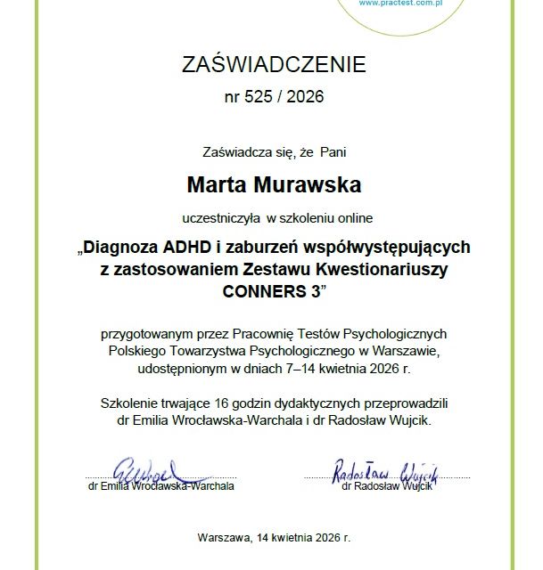 Powiększ obraz: certificate 2