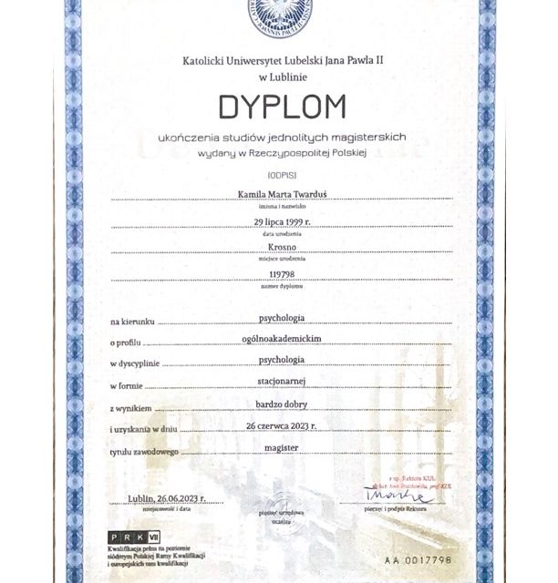 Powiększ obraz: certificate 1
