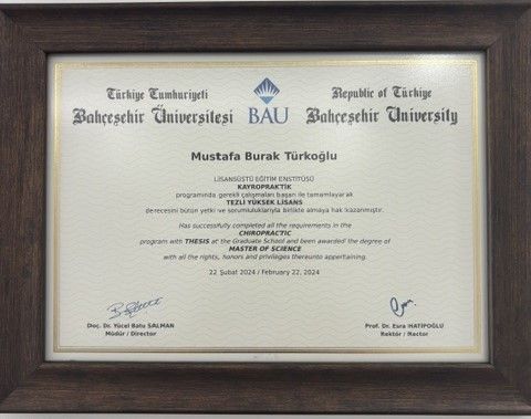 Resmi büyüt: certificate 2