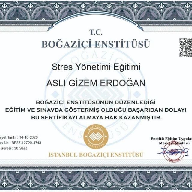 Resmi büyüt: certificate 3