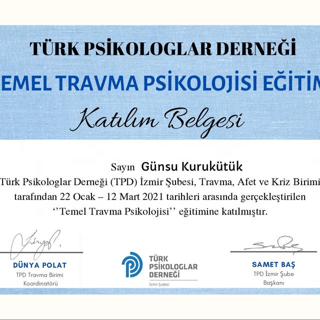 Resmi büyüt: certificate 2