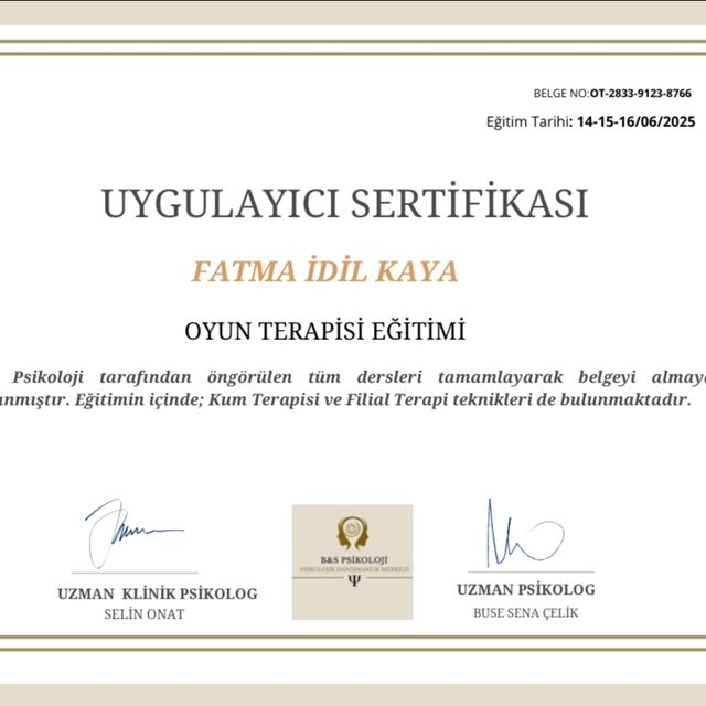 Resmi büyüt: certificate 2
