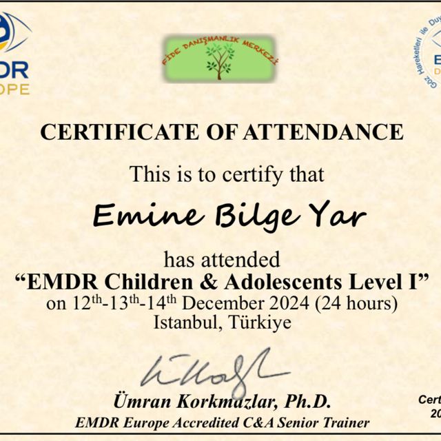 Resmi büyüt: certificate 2