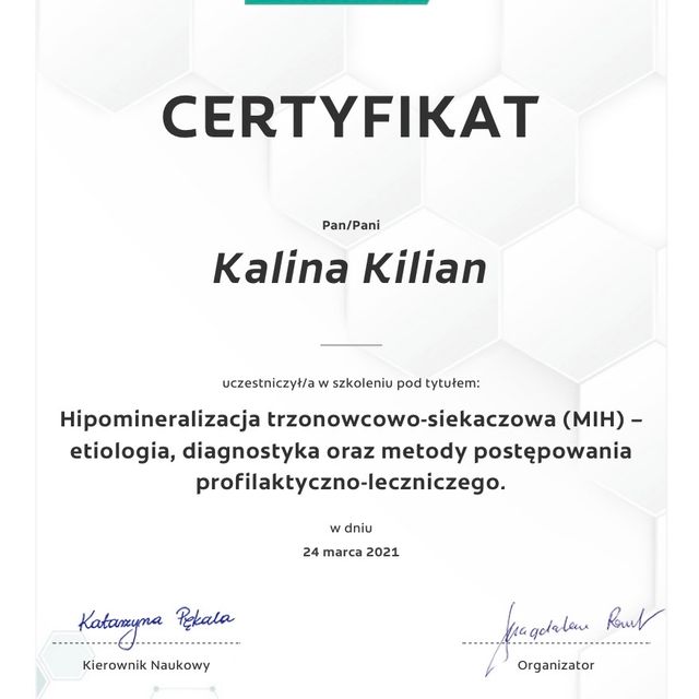 Powiększ obraz: certificate 10