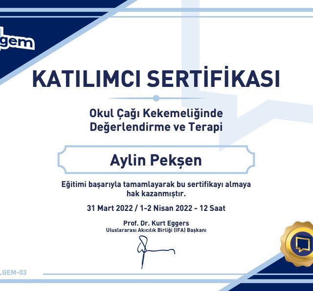 Resmi büyüt: certificate 6