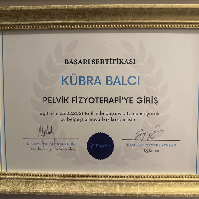 Resmi büyüt: certificate 2