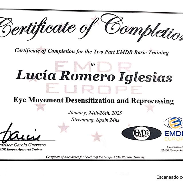 Acercar imagen: certificate 3