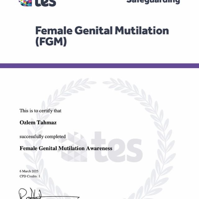 Resmi büyüt: certificate 1