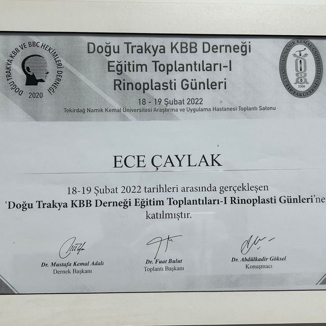 Resmi büyüt: certificate 3