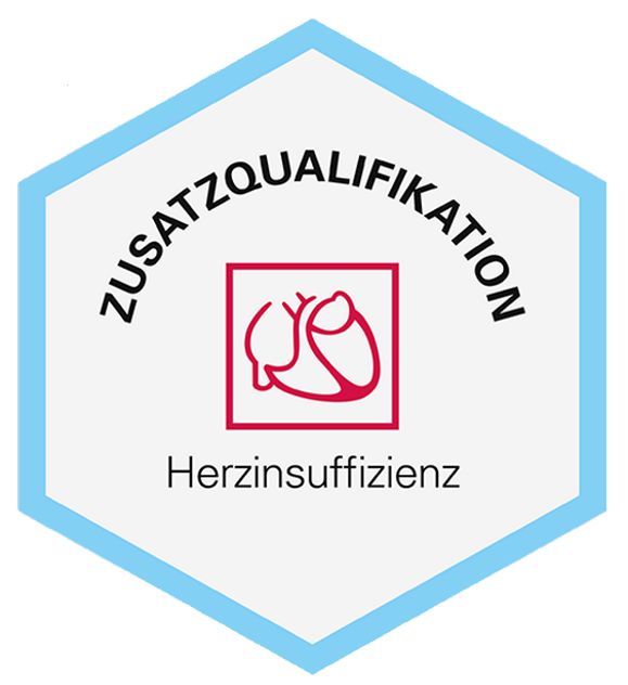 Bild vergrößern: certificate 3