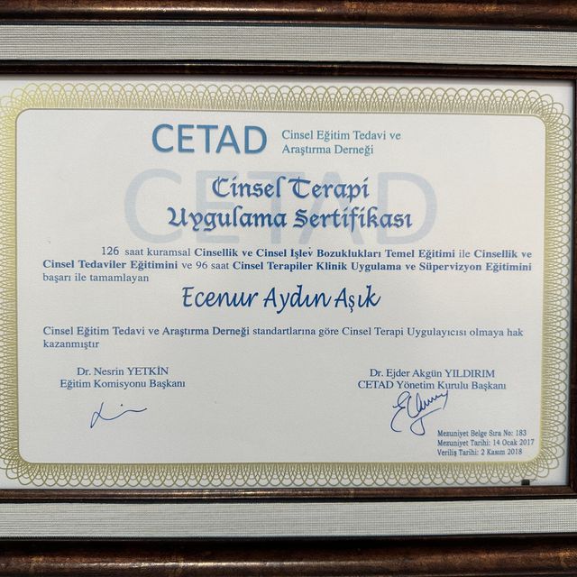Resmi büyüt: certificate 1