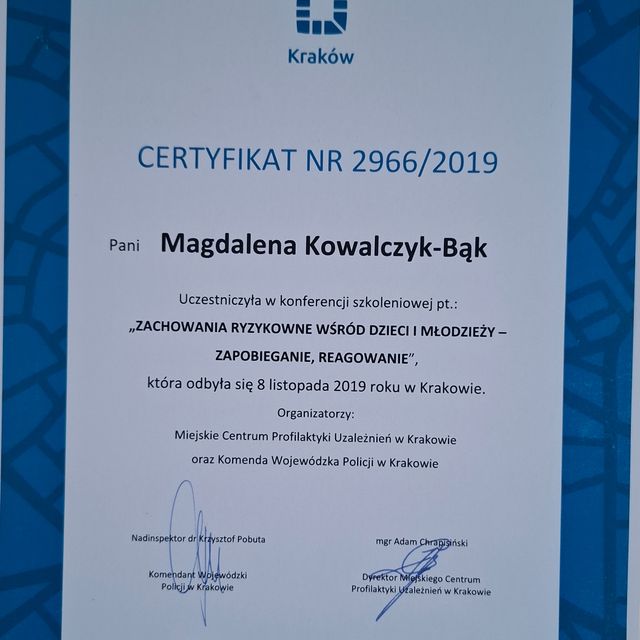 Powiększ obraz: certificate 2
