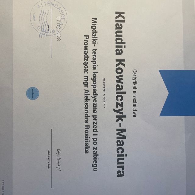 Powiększ obraz: certificate 7