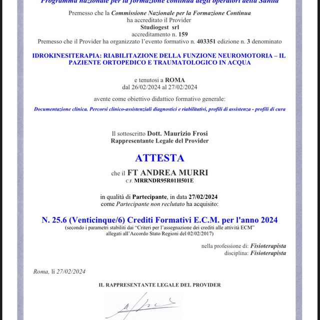 Ingrandire l'immagine: certificate 4