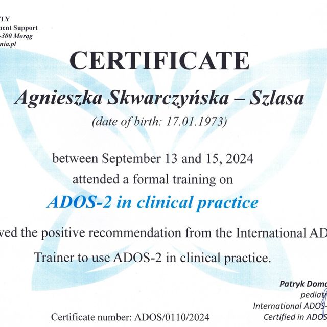 Powiększ obraz: certificate 3