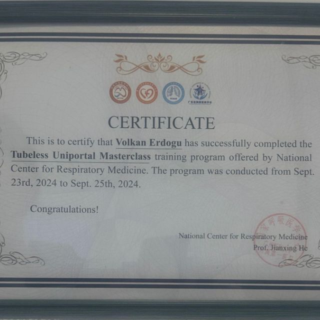 Resmi büyüt: certificate 8
