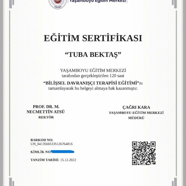 Resmi büyüt: certificate 3