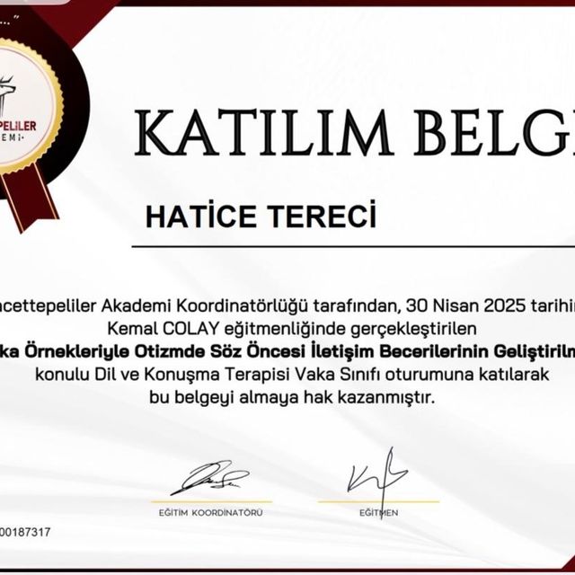 Resmi büyüt: certificate 19