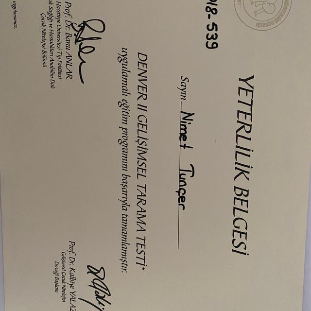 Resmi büyüt: certificate 1