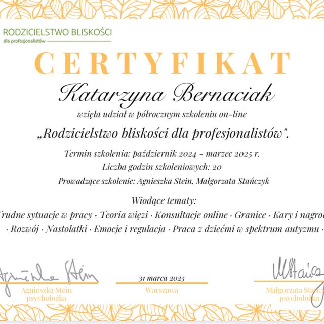 Powiększ obraz: certificate 1