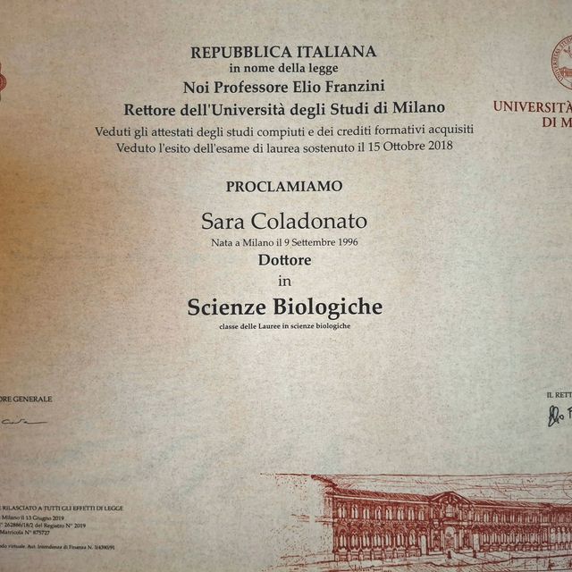 Ingrandire l'immagine: certificate 4