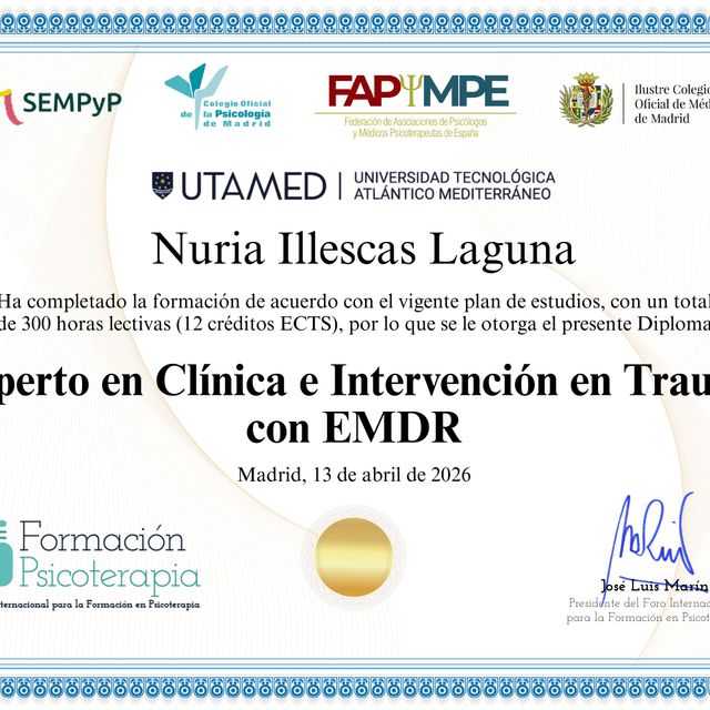 Acercar imagen: certificate 9