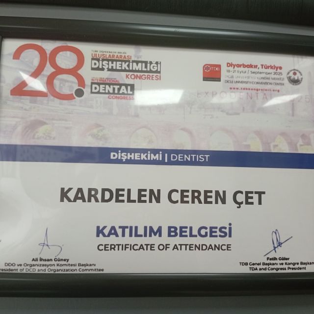 Resmi büyüt: certificate 1