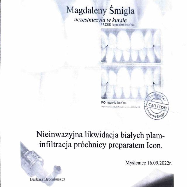 Powiększ obraz: certificate 4