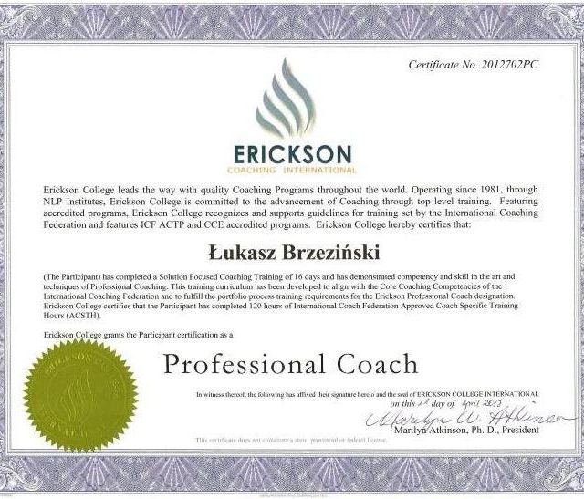 Powiększ obraz: certificate 4