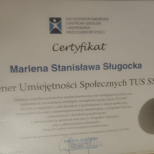 Powiększ obraz: certificate 7