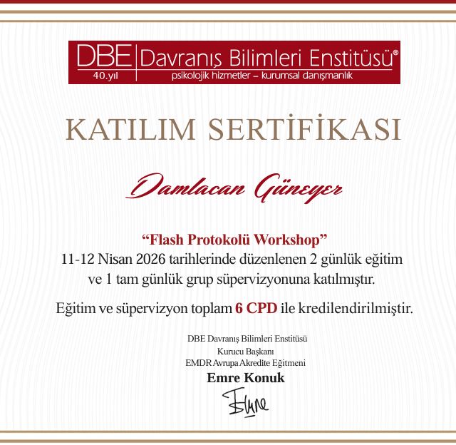 Resmi büyüt: certificate 2