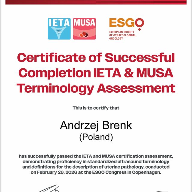 Powiększ obraz: certificate 2