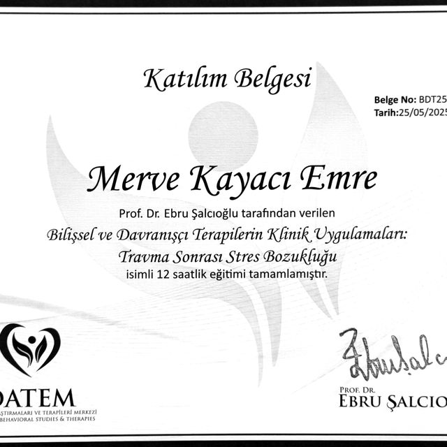 Resmi büyüt: certificate 12