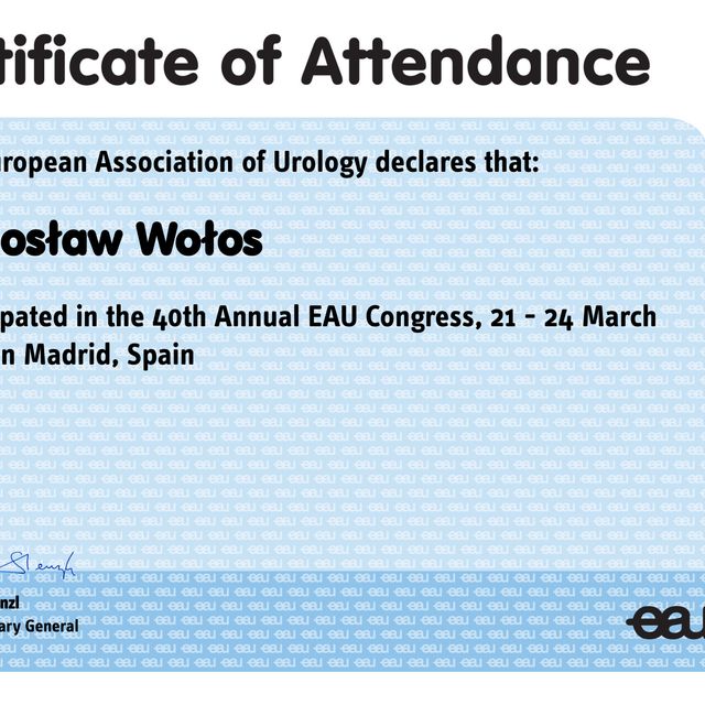 Powiększ obraz: certificate 3