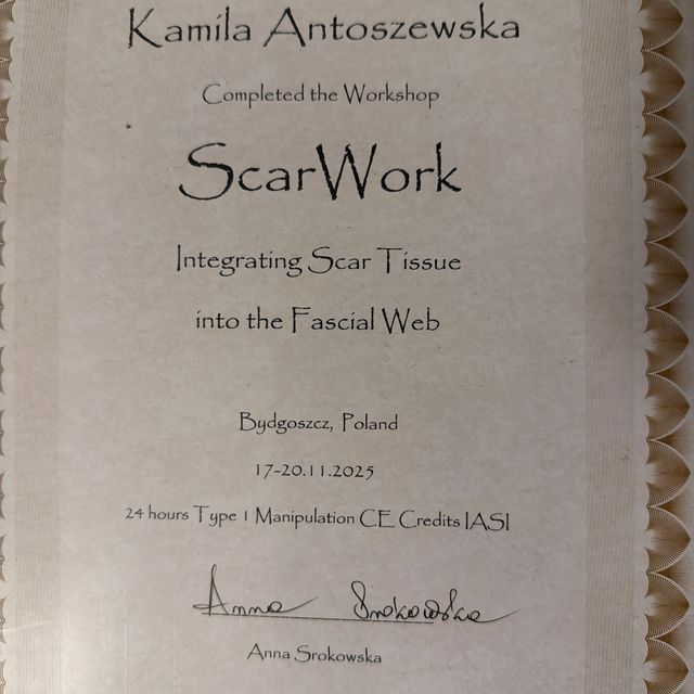 Powiększ obraz: certificate 2