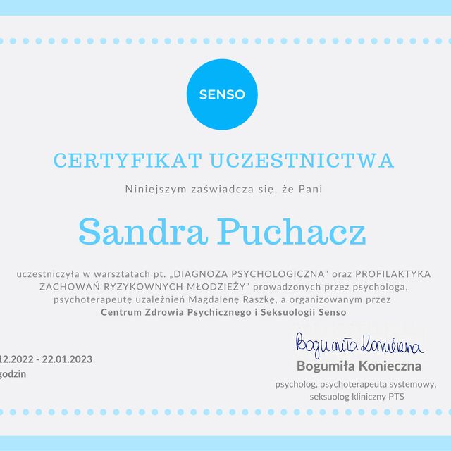 Powiększ obraz: certificate 2