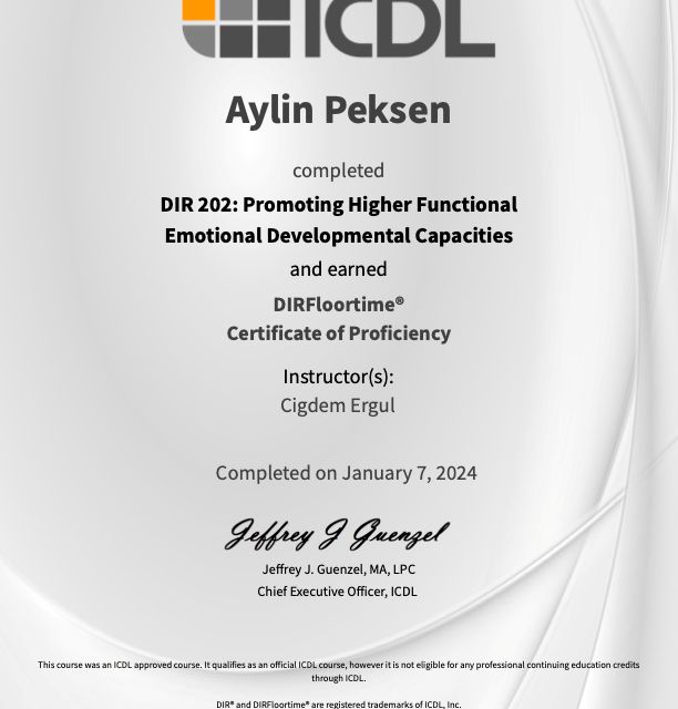 Resmi büyüt: certificate 7