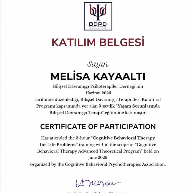 Resmi büyüt: certificate 5