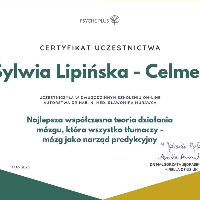 Powiększ obraz: certificate 20