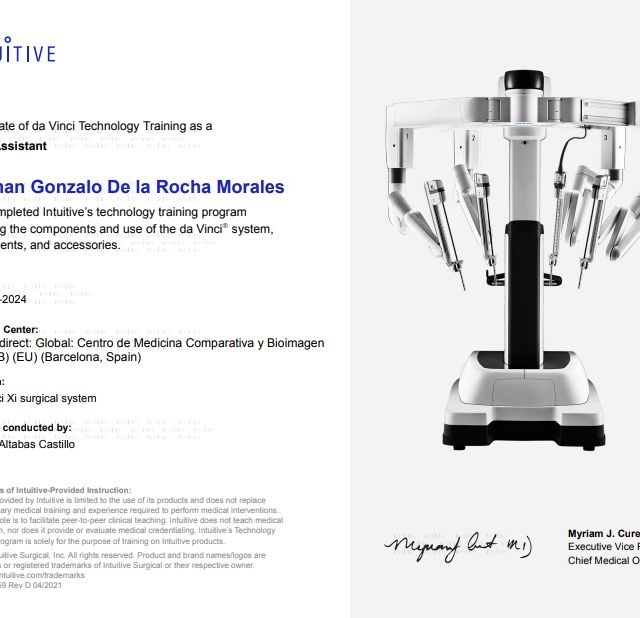 Acercar imagen: certificate 6