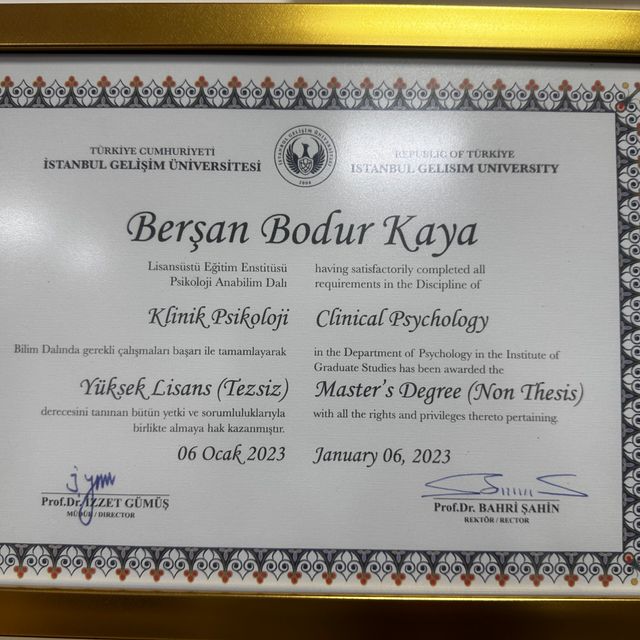 Resmi büyüt: certificate 1