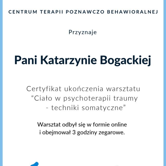 Powiększ obraz: certificate 24