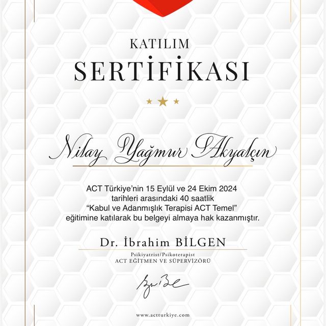 Resmi büyüt: certificate 5