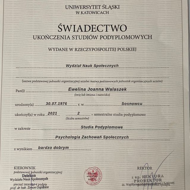 Powiększ obraz: certificate 2