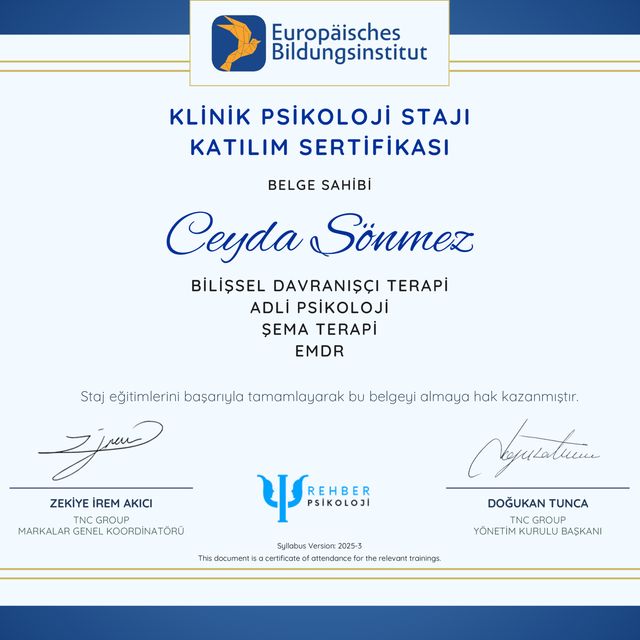 Resmi büyüt: certificate 1