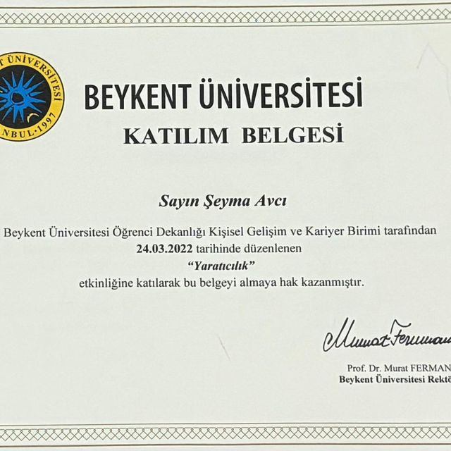 Resmi büyüt: certificate 2