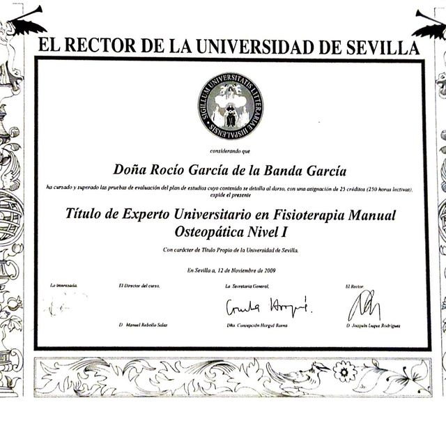 Acercar imagen: certificate 6
