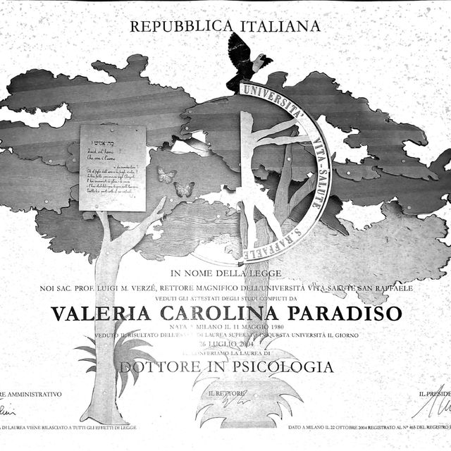 Ingrandire l'immagine: certificate 1