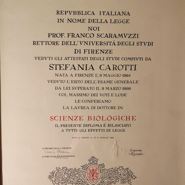 Ingrandire l'immagine: certificate 1
