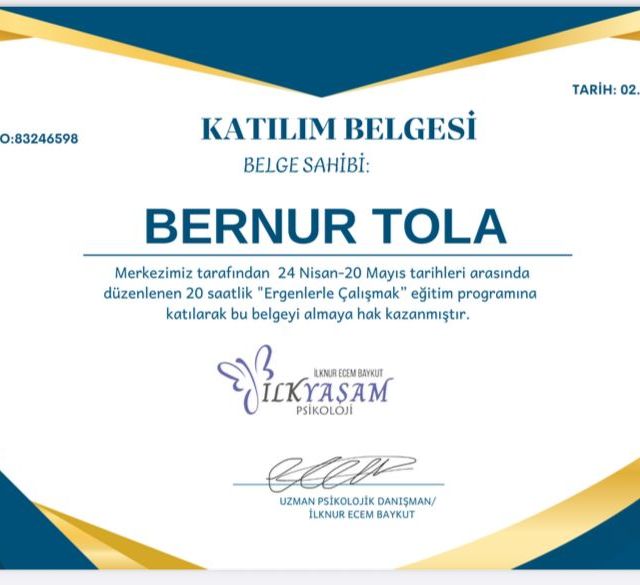 Resmi büyüt: certificate 4